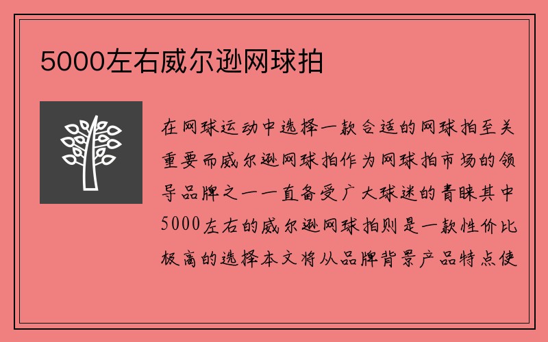 5000左右威尔逊网球拍