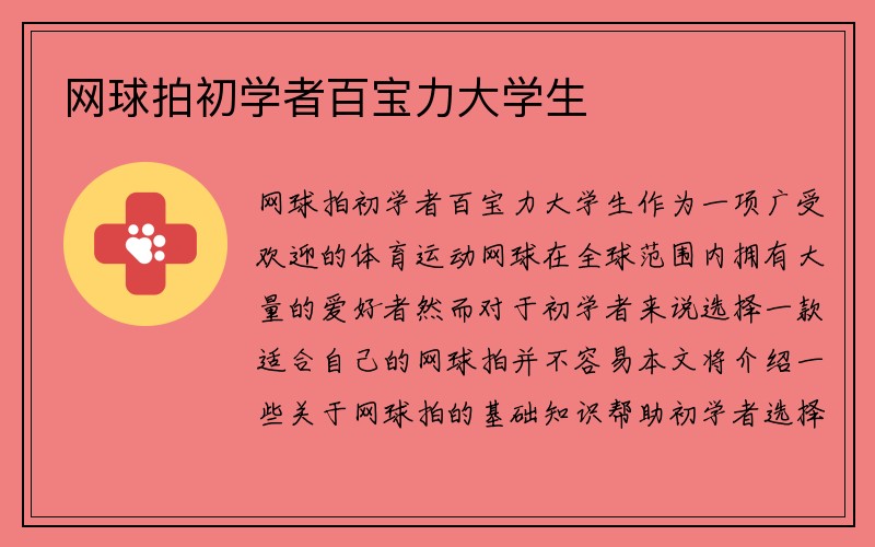 网球拍初学者百宝力大学生