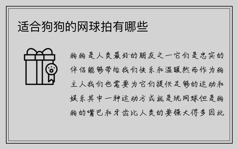 适合狗狗的网球拍有哪些