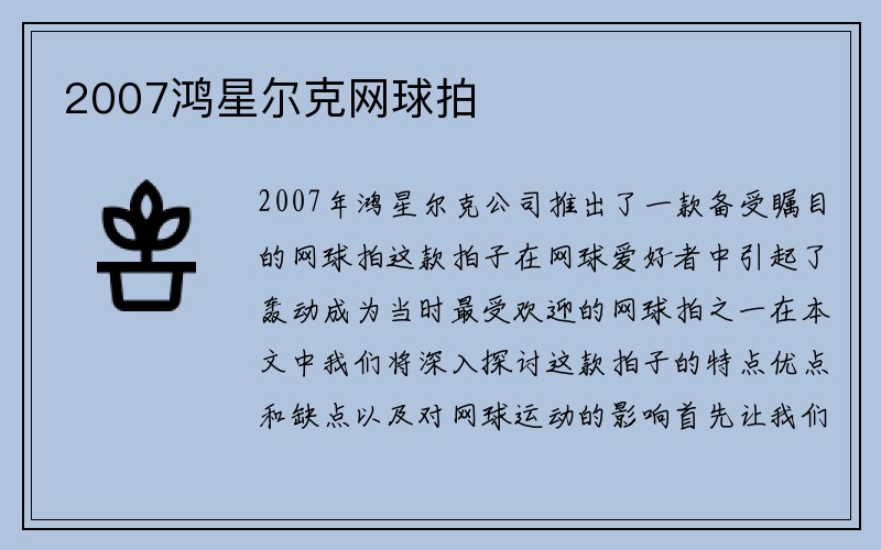 2007鸿星尔克网球拍