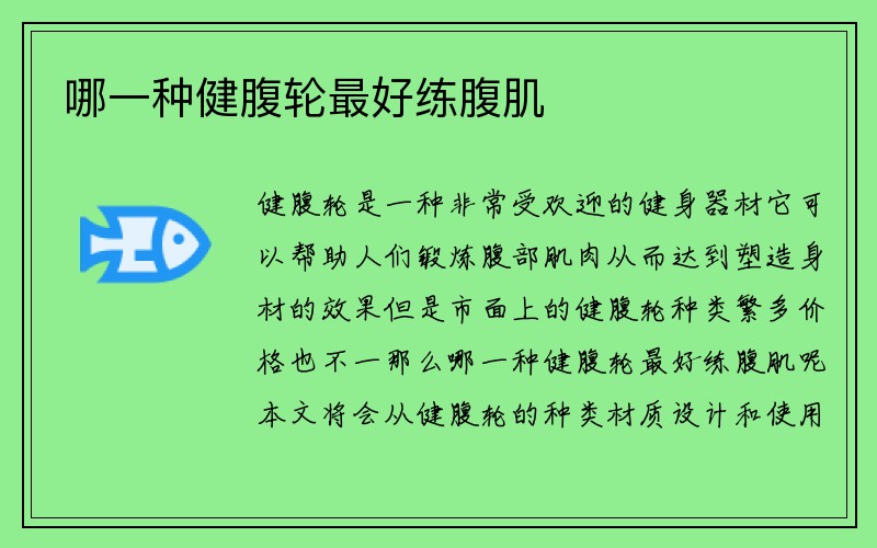 哪一种健腹轮最好练腹肌