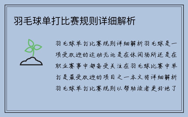 羽毛球单打比赛规则详细解析