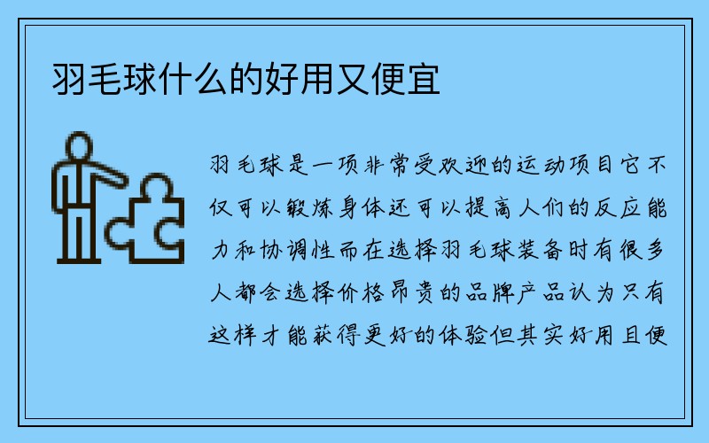 羽毛球什么的好用又便宜