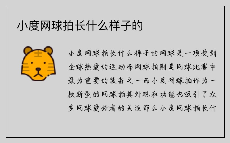 小度网球拍长什么样子的