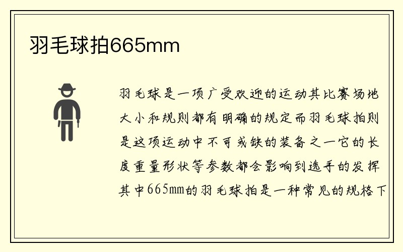 羽毛球拍665mm