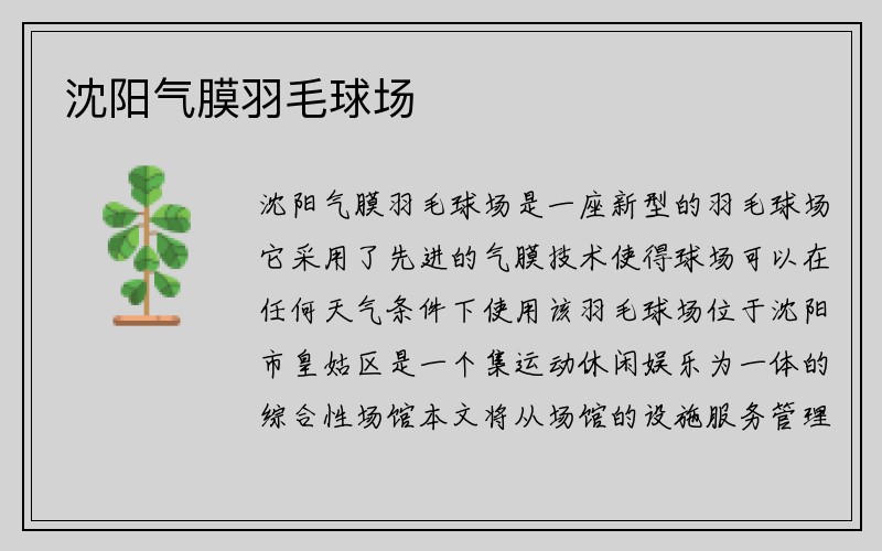 沈阳气膜羽毛球场