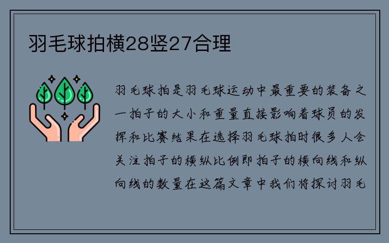 羽毛球拍横28竖27合理